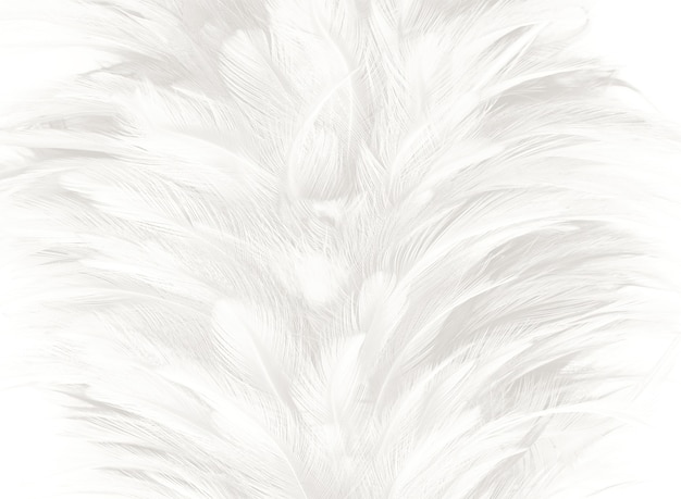Белый фон текстуры пера