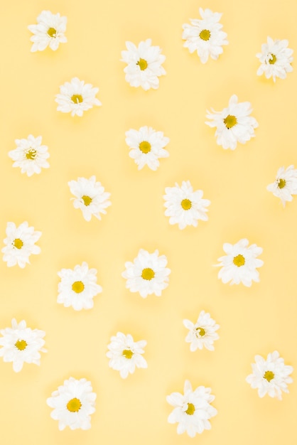 Free photo white flower pattern on beige background