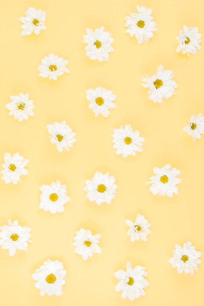 White flower pattern on beige background