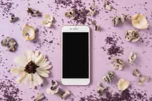 Foto gratuita fiore bianco; scrub e baccello secco intorno allo smartphone su sfondo rosa