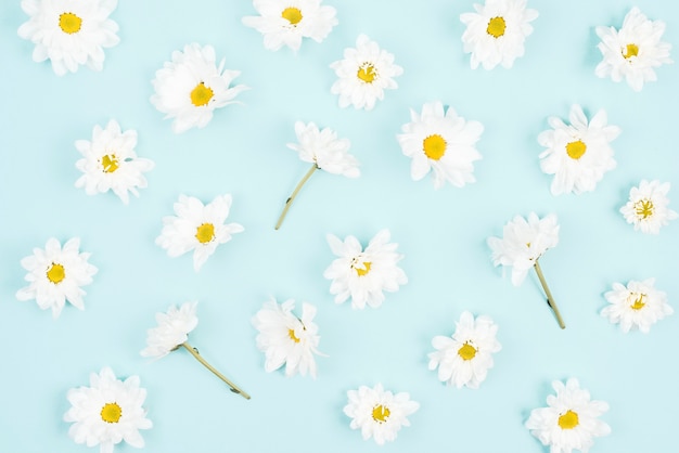 White flower seamless pattern on blue background