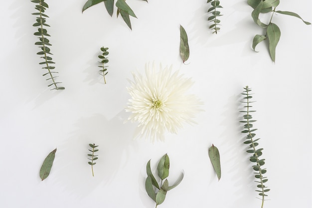 장식 녹색 식물과 흰 꽃