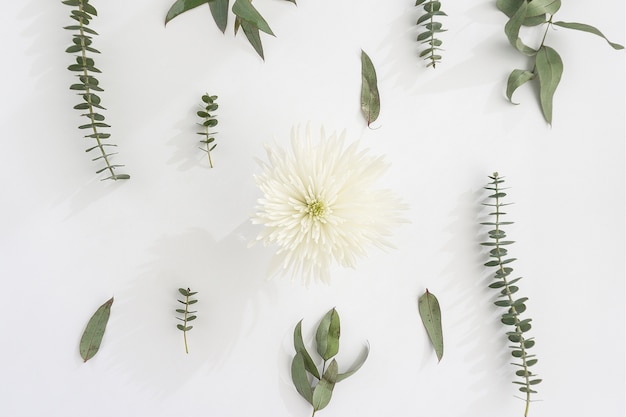 White flower with decorative green plants