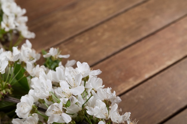 White flower on wooden background close up