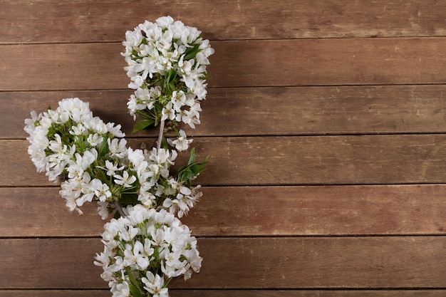 White flower on wooden background