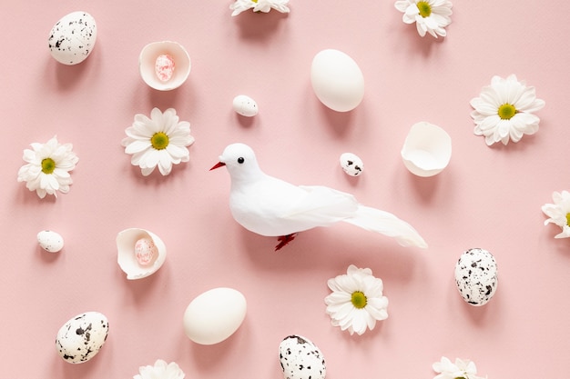 무료 사진 비둘기 옆에 흰 꽃과 계란