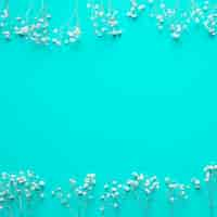 Free photo white flowers on blue