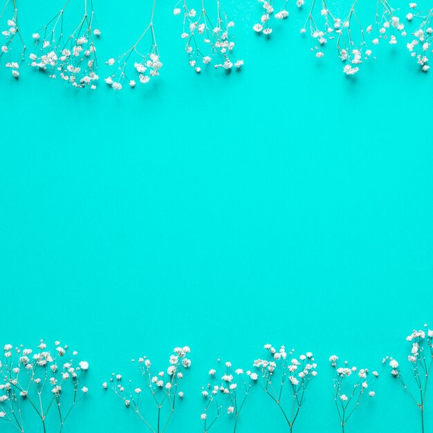 파랑에 흰 꽃