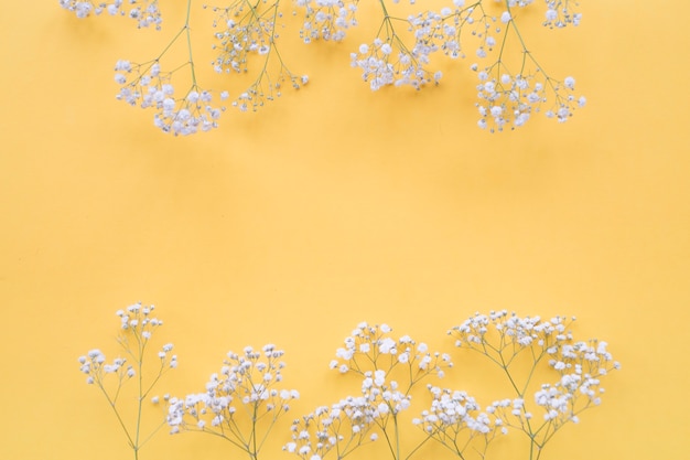 무료 사진 노란색 배경 위에 흰색 꽃 테두리