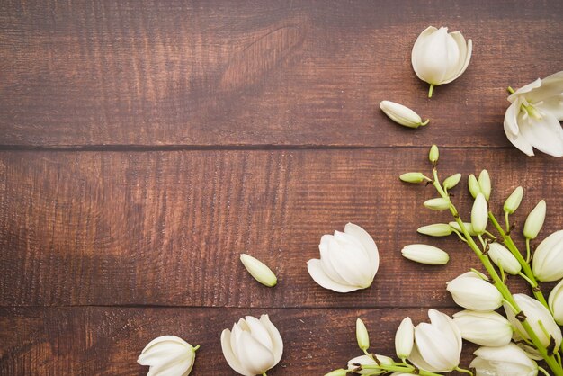 White flowers on the corner of the wooden background