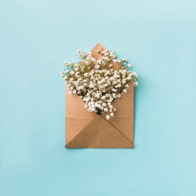 White flowers in envelope