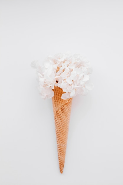 아이스크림 콘에 흰 꽃