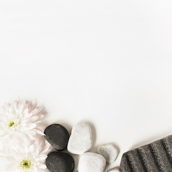 흰 꽃; 라 돌과 경 석 돌 흰색 배경 위에 절연