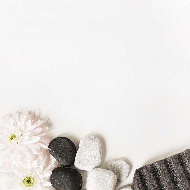Free Photo white flowers; la stones and pumice stone isolated over white background
