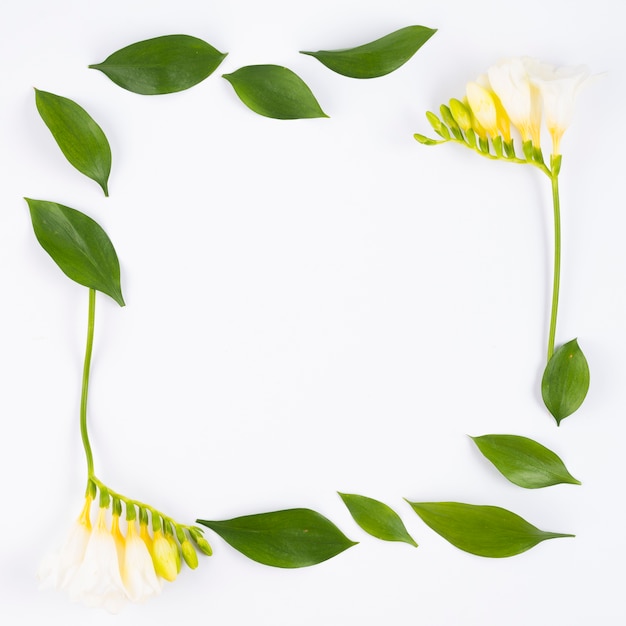 白い花と正方形のフレームの葉
