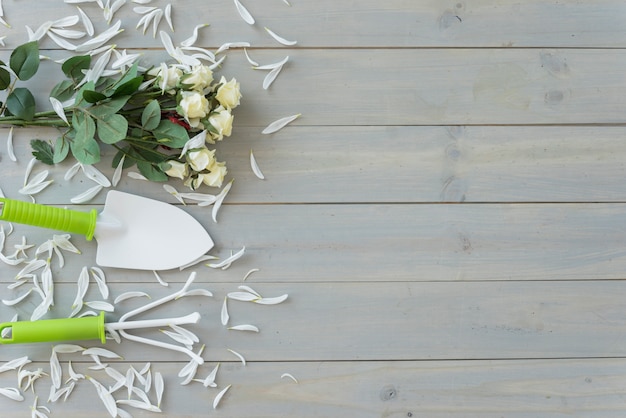 White flowers, little trowel and rake on grey wooden desk