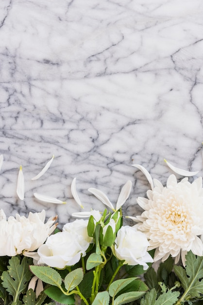 Free photo white flowers on marble tabletop