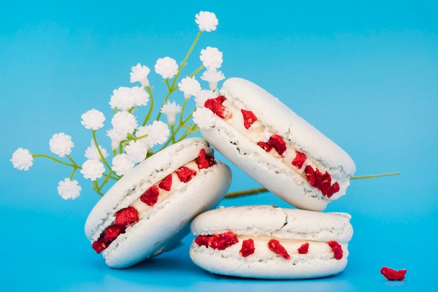 White flowers near the macaroons on blue background