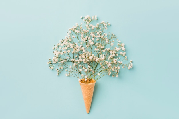 Бесплатное фото Белые цветы возле вафельного конуса