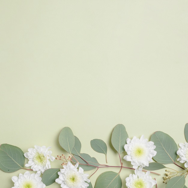 White flowers on twig