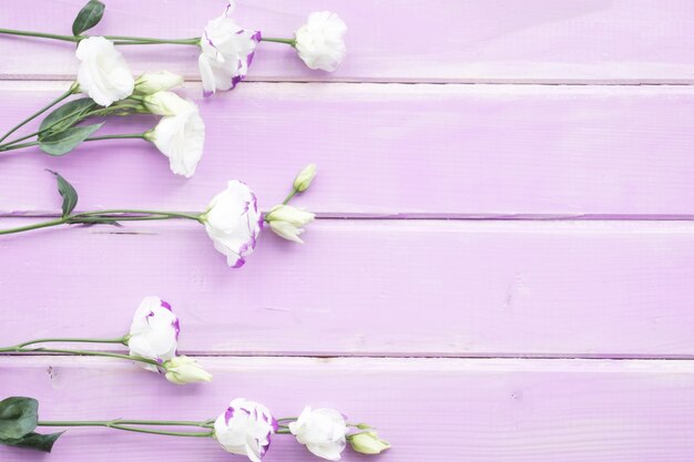 White flowers with bud on pink painted wooden background