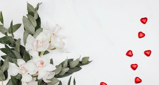 Белые цветы с эвкалиптом и красным шоколадом