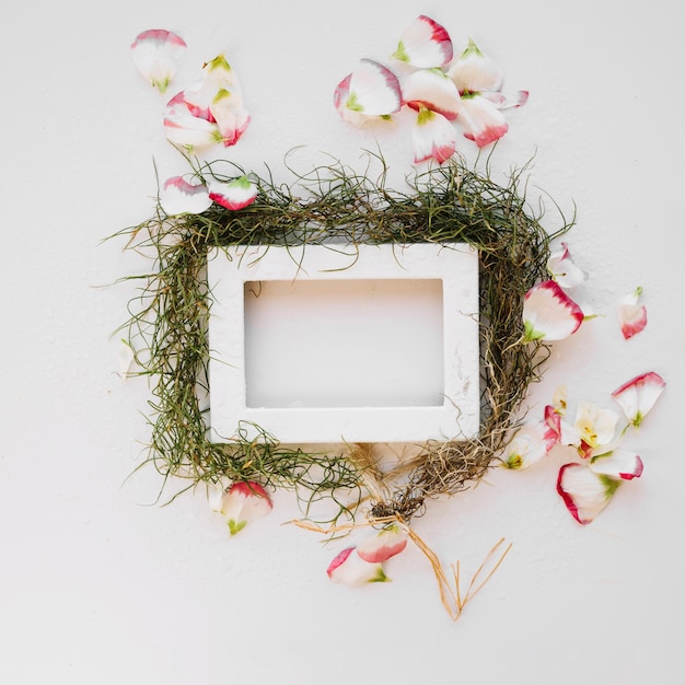 White frame in arrangement with petals