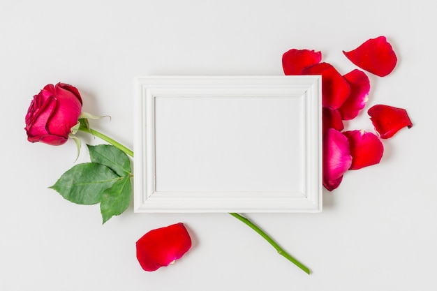 White frame surrounded by red roses