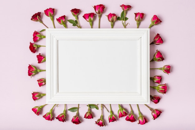 Free photo white frame surrounded by red roses