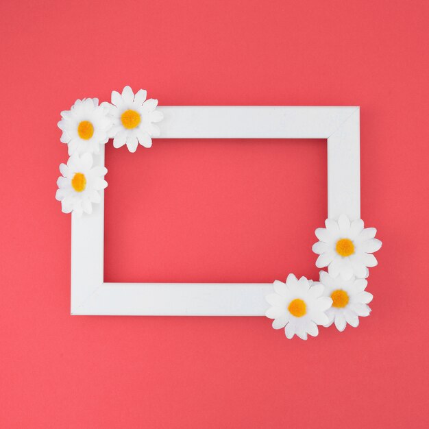 White Frame with daisies