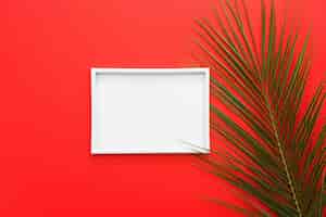 Free photo white frame with palm leaves on bright red surface