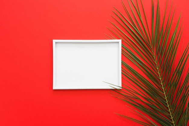 White frame with palm leaves on bright red surface