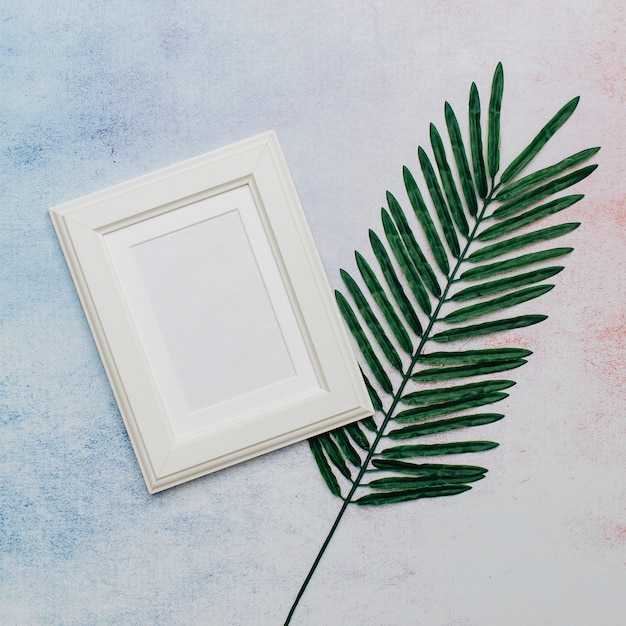 White frame with palm tree leaf