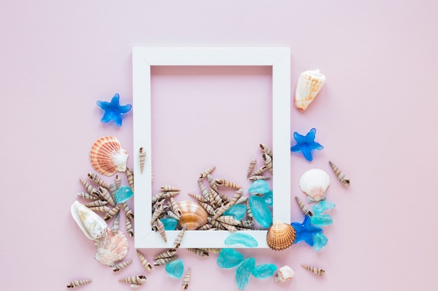 White frame with sea shells 