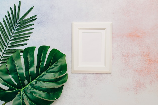 White frame with tropical leaves