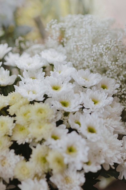 White gerbera daisy and white Caspia