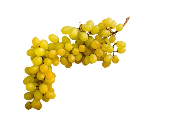 white grape on white background.