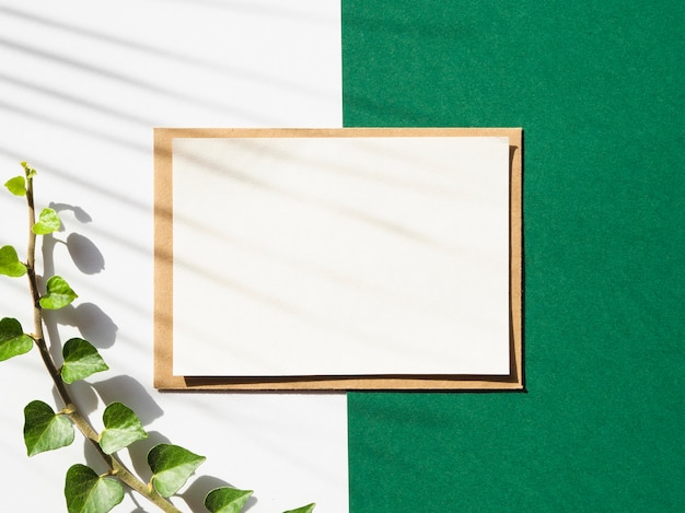 Free photo white and green background with a white blanket and a leafy branch with shadow