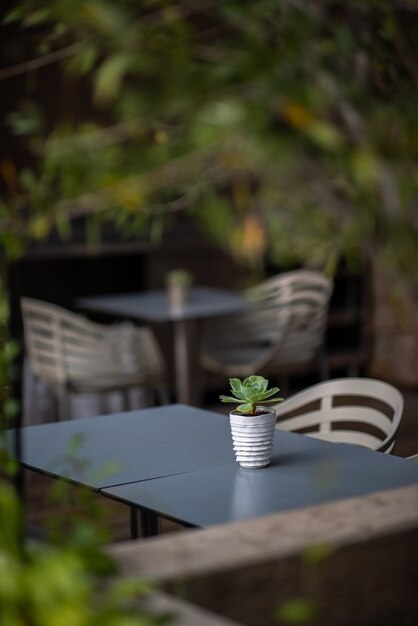 White and green striped ceramic mug on table