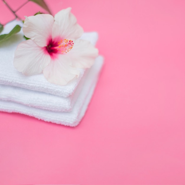 White hibiscus flower and towels on pink background