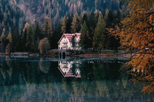 White House Surrounded by Trees