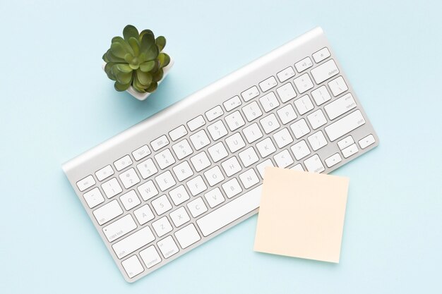 White keyboard next to plant