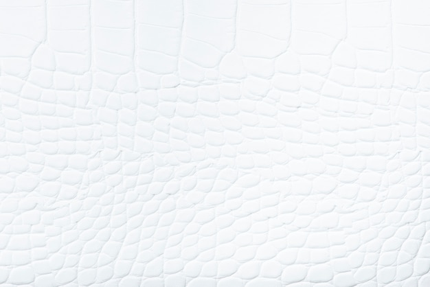 White leather background