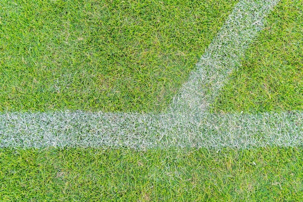 White line on a soccer field grass