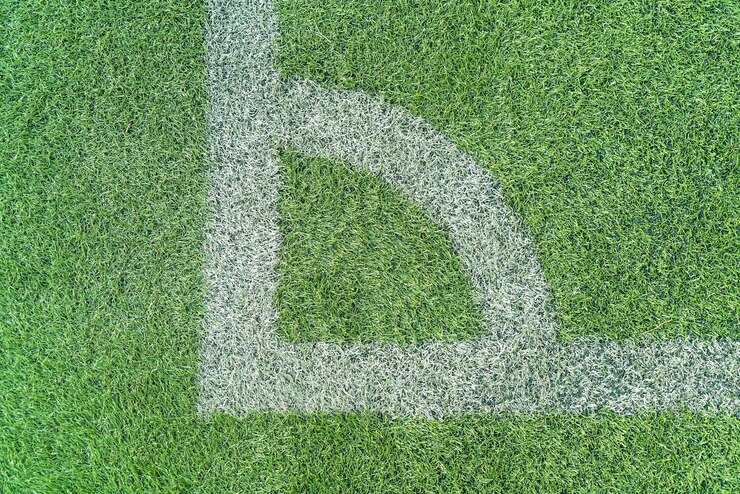 Free Photo white line on a soccer field grass
