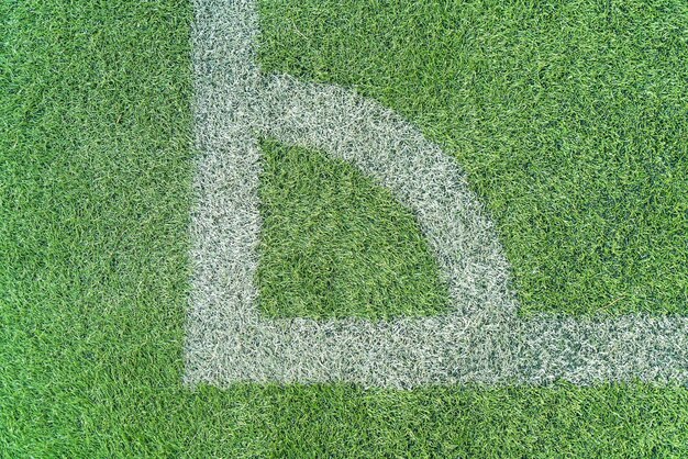 White line on a soccer field grass