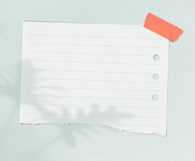 White lined pattern paper with leaves shadow on a wall