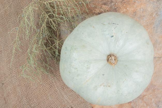 White mini pumpkin on burlap with plant. 