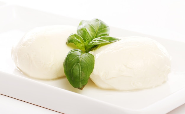 White mozarella cheese with mint leaves