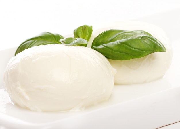 White mozarella cheese with mint leaves
